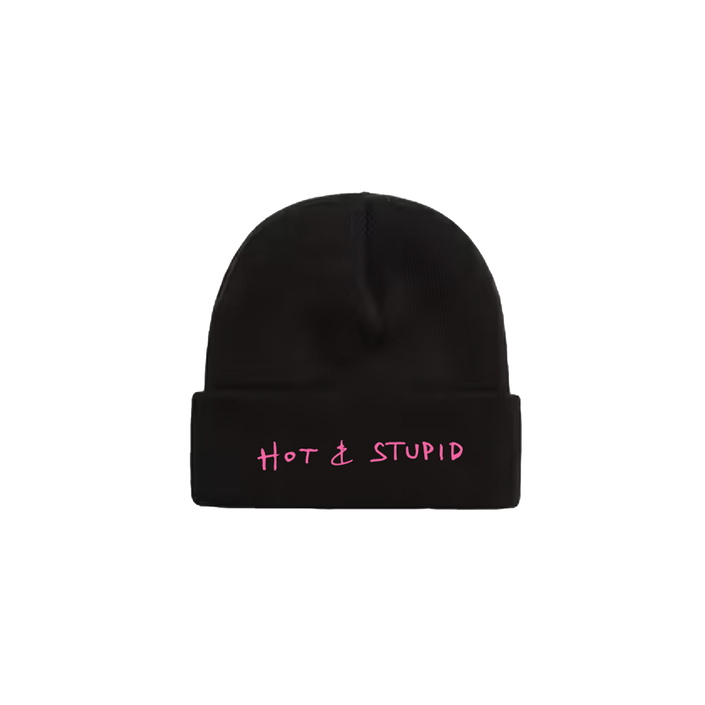 HOT & STUPID BEANIE
